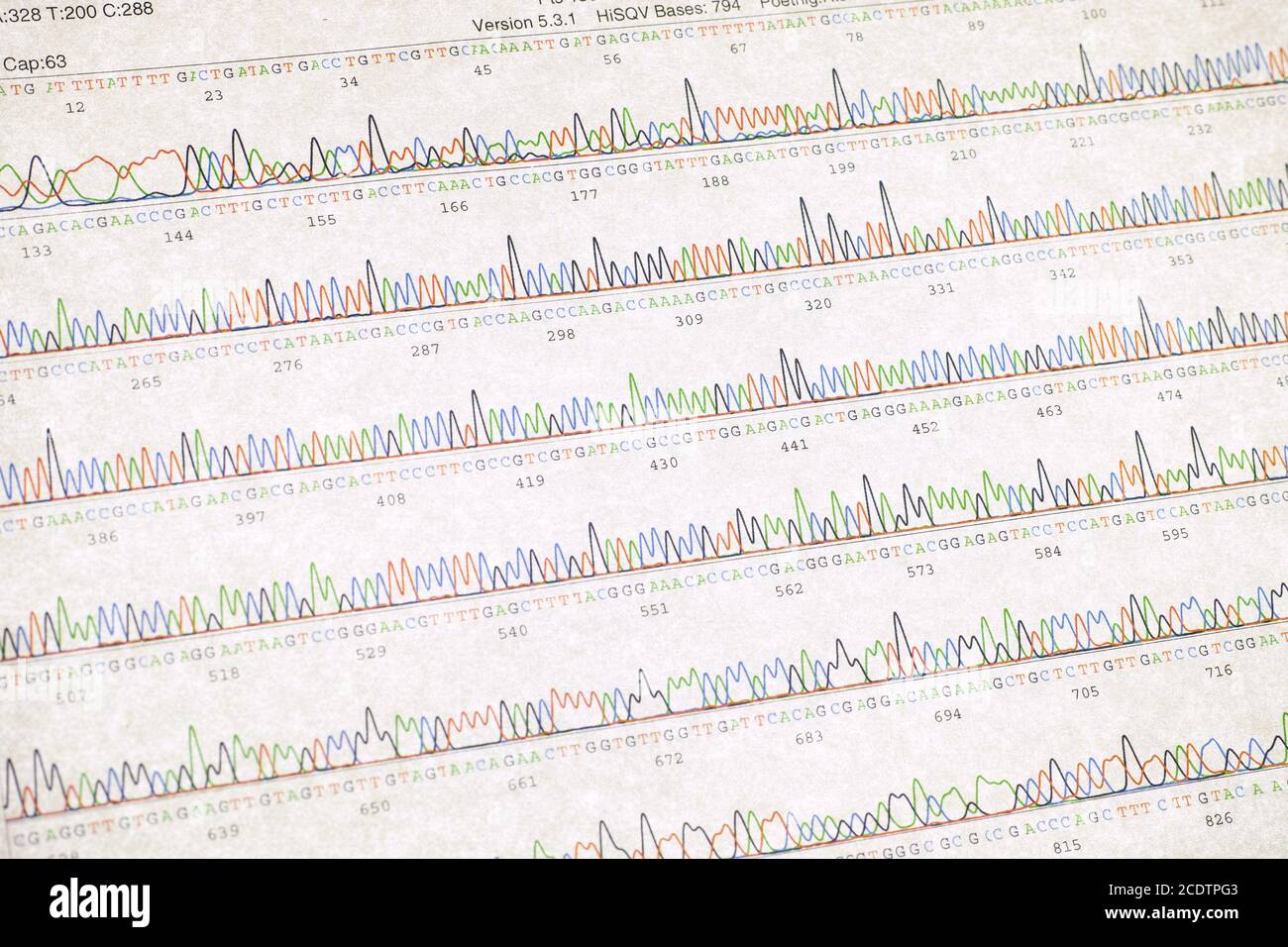 Stampa dei risultati della sequenziazione del DNA Foto Stock