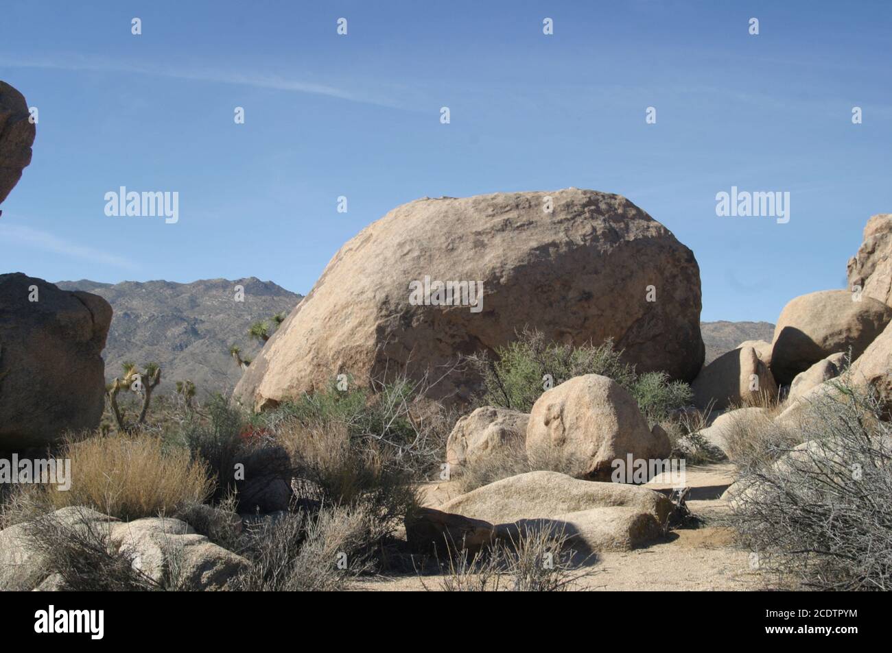 Parco nazionale di Joshua Tree Foto Stock