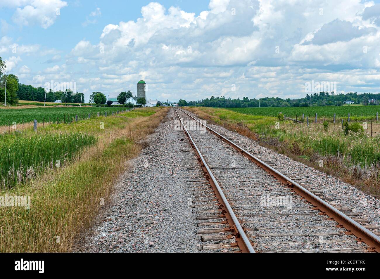 Le tracce del treno scompaiono in lontananza Foto Stock