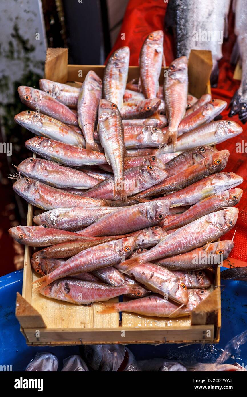 un caso di pesce da tavola alla panchina dei pescatori Foto Stock