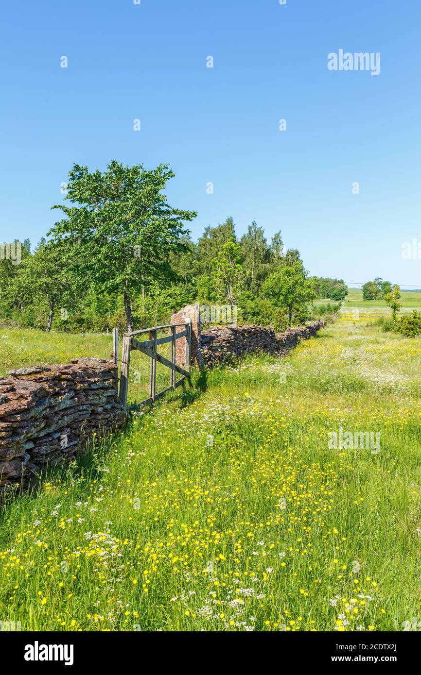 Prato estivo fiorito con un muro di pietra e un cancello in campagna Foto Stock