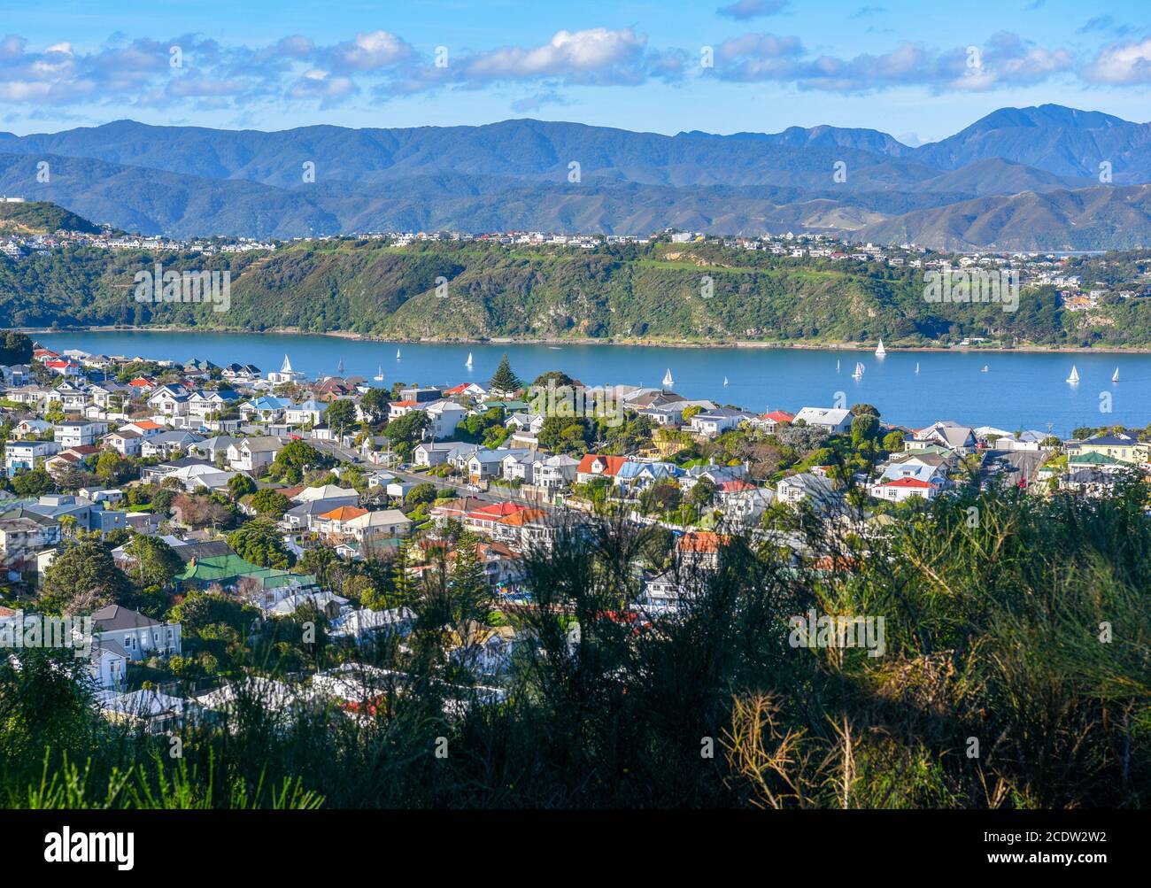 Wellington. 14 luglio 2018. Foto scattata il 14 luglio 2018 mostra una vista di Wellington, Nuova Zelanda. Wellington è stata nominata la migliore destinazione neozelandese nella guida Lonely Planet, con la città chiamata 'una delle più belle capitali del mondo'. Credit: Guo Lei/Xinhua/Alamy Live News Foto Stock