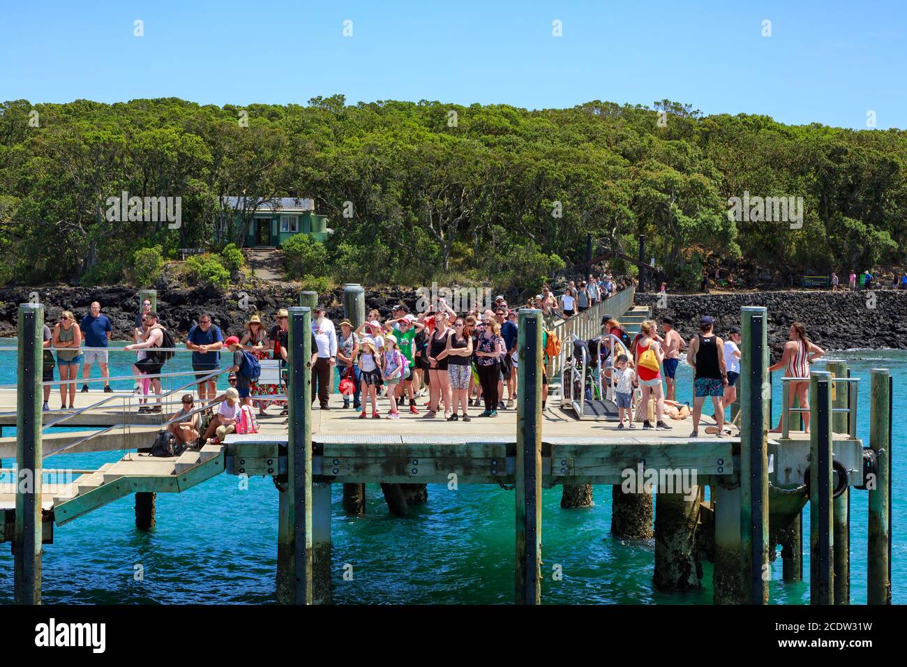 Isola di Rangitoto, Nuova Zelanda. Una folla di turisti aspetta un traghetto al molo dell'isola. Dietro di loro c'è la foresta di pohutukawa e una casa per le vacanze Foto Stock