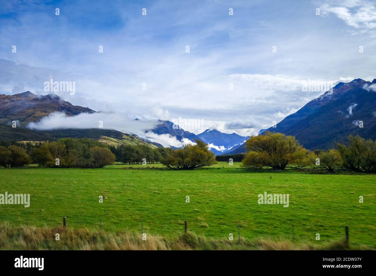 Nuova Zelanda paesaggio di campagna Foto Stock