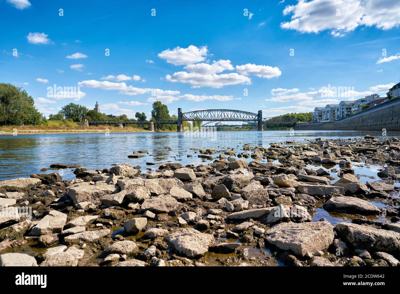 Il fiume Elba a Magdeburgo a bassa marea a causa di un'estate calda Foto Stock