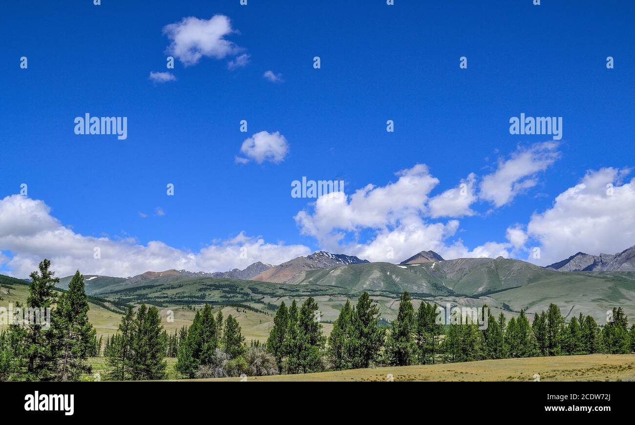 Kuray catena montuosa e steppa - bellissimo paesaggio estivo soleggiato Foto Stock