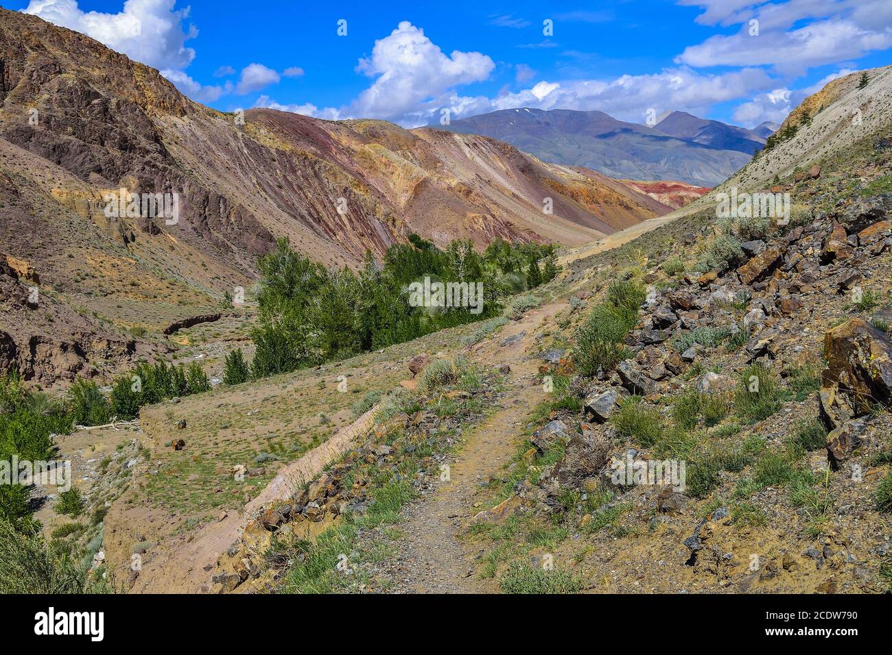 Vista delle scogliere di argilla di Kyzyl Chin e della catena del Kuray, delle montagne di Altai, della Russia Foto Stock