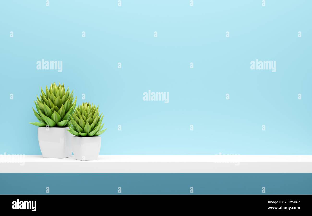 ripiano bianco su parete blu con mock di piante in vaso verde su Foto Stock