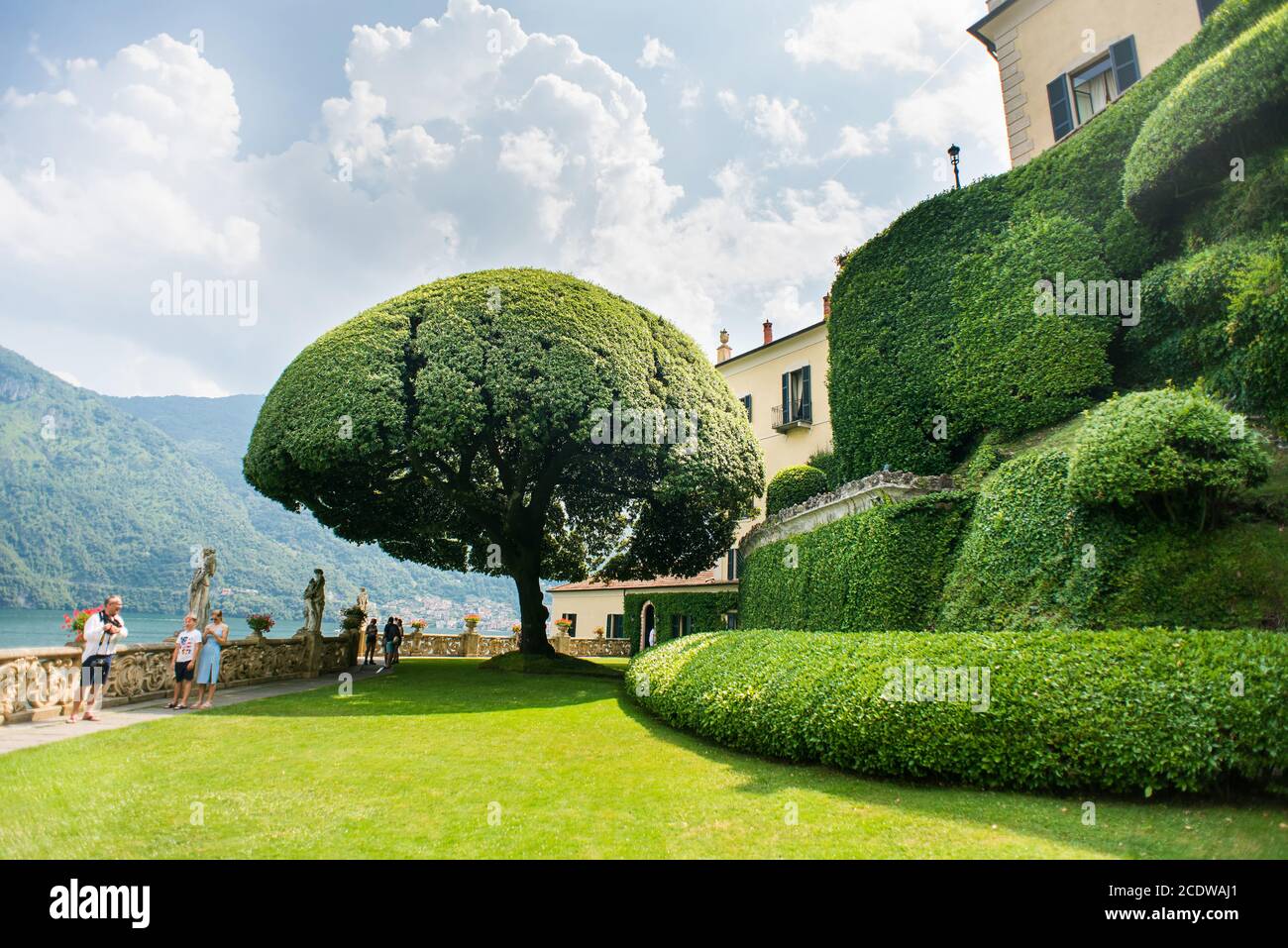 Villa Balbianello. Lago di Como. Italia - 19 luglio 2019: Famoso albero in Giardino a Villa del Balbianello sul Lago di Como. Italia. Foto Stock