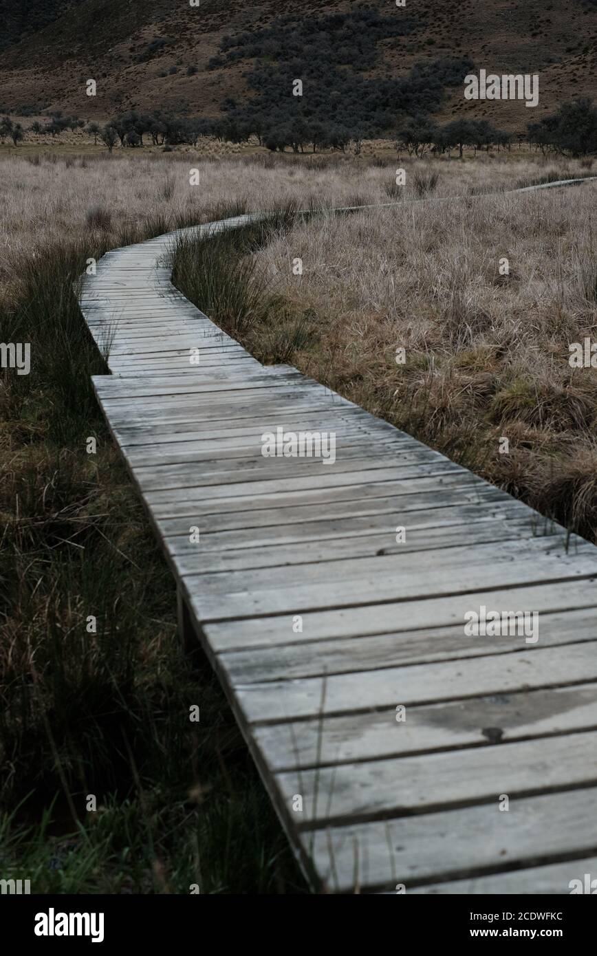 Passerella in legno Foto Stock