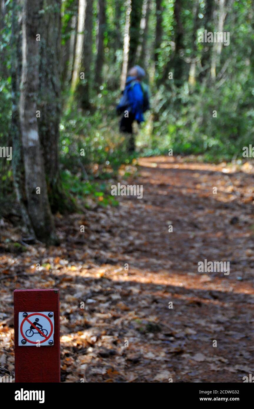 Su una pista a piedi nella Foresta di Hanmer, Nuova Zelanda, la segnaletica dice 'no bikes' su questa pista Foto Stock