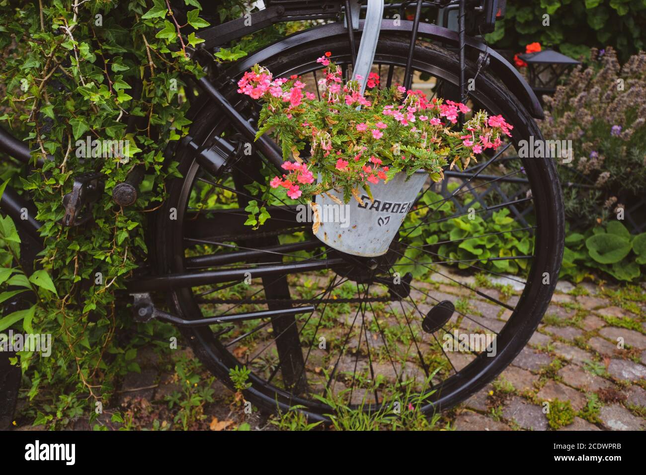 Bicicletta con cesto con fiori e foglie, coperto di piante Foto Stock