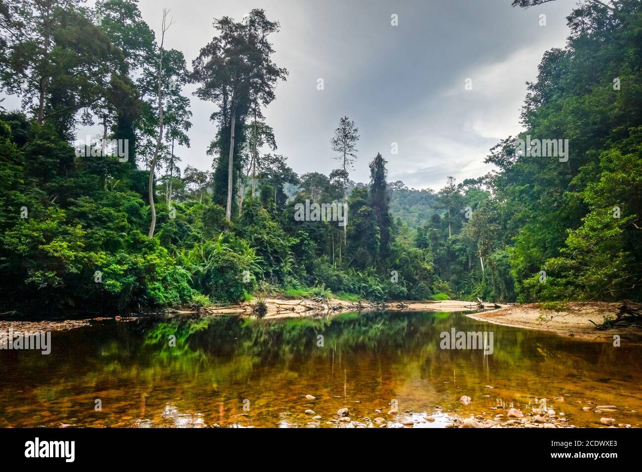 Fiume nella foresta pluviale Taman Negara parco nazionale, Malesia Foto Stock