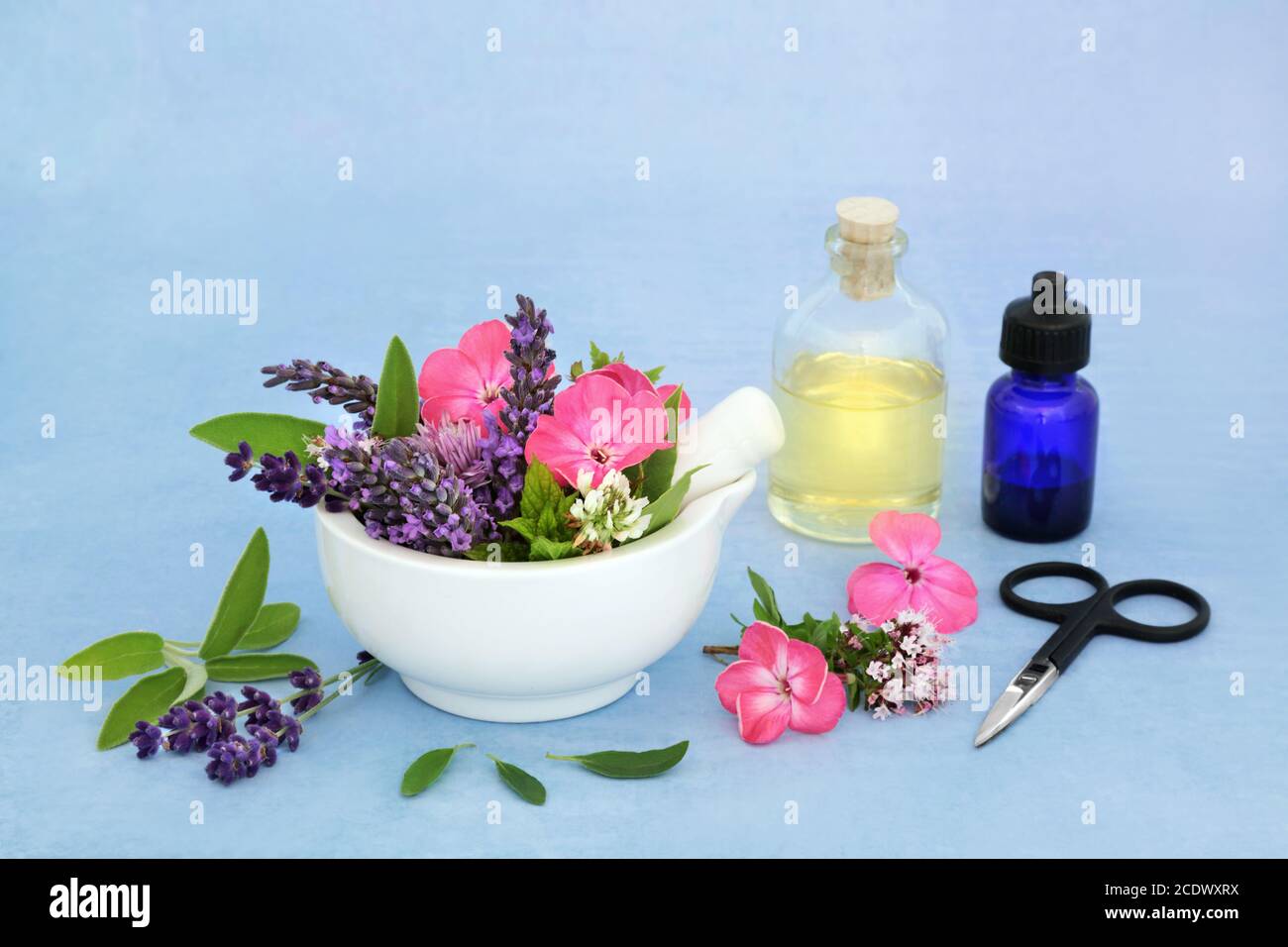 Preparazione di medicina di erbe con fiori & erbe in un mortaio con pestello & aromaterapia bottiglie di olio essenziali. Ancora vita per l'assistenza sanitaria naturopatica Foto Stock