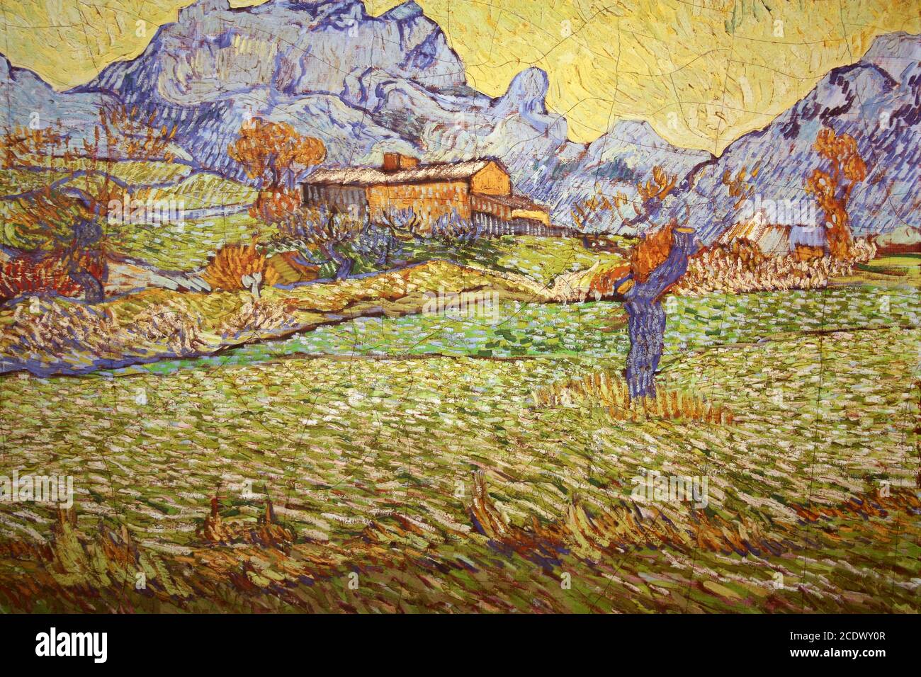 Van Gogh, un prato in montagna Foto Stock