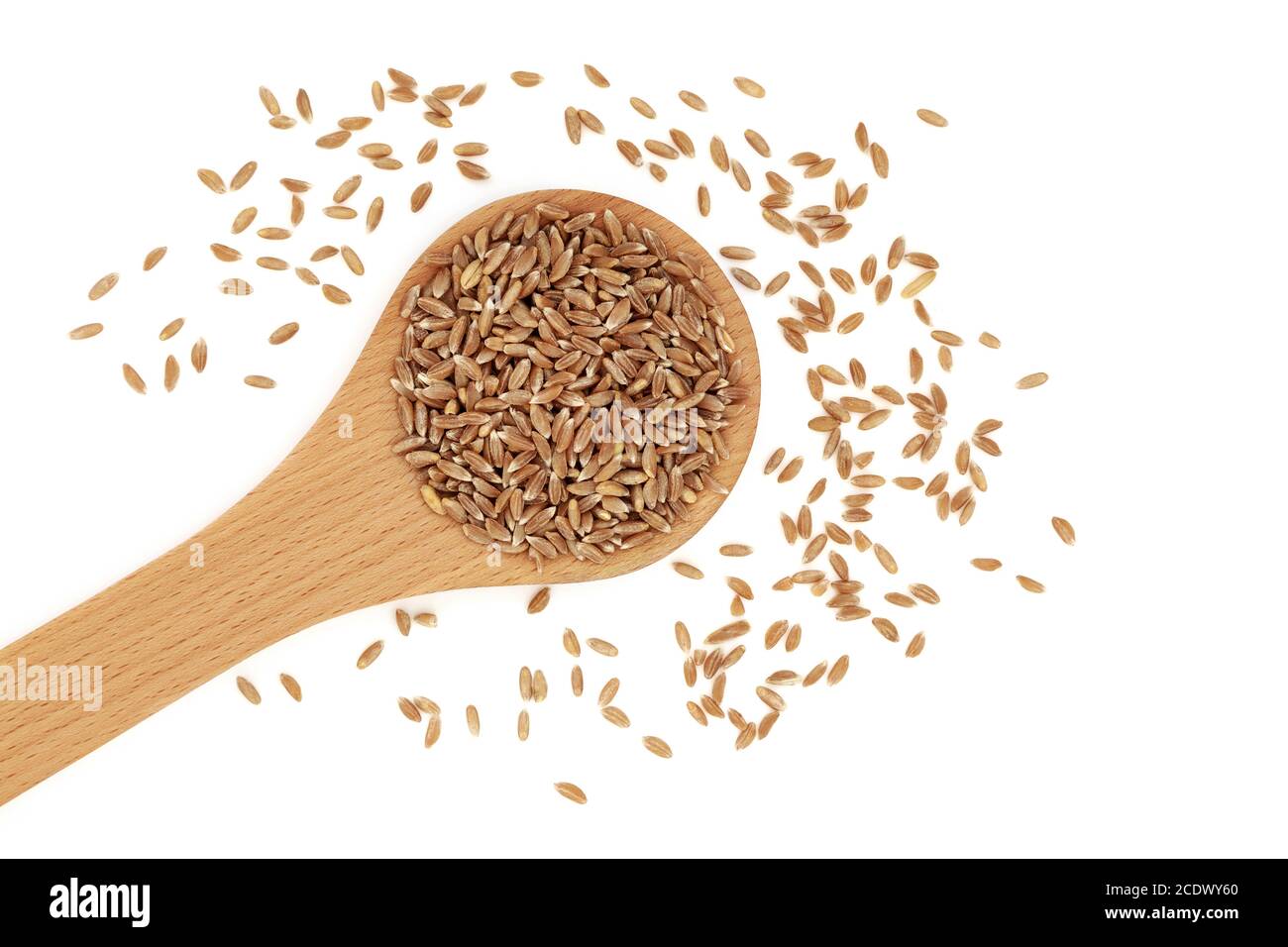 Grano di grano farro sano organico emmer in un cucchiaio di legno su sfondo bianco. Alto in antiossidanti e una fonte alimentare altamente nutriente. Foto Stock