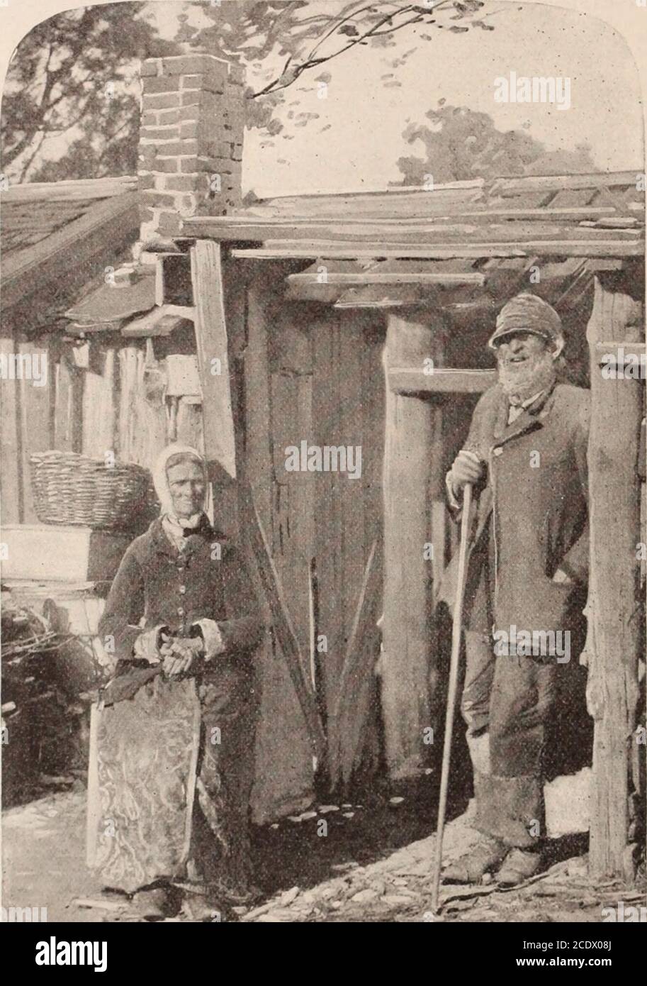 . Araldo cristiano e segni dei nostri tempi . r faccia, in piedi alla thegate, con il suo cofano sulla testa, e cesto di alittle in mano. Parlando al posto: Il partito si è riunito nella sala d'esame guardando le sedi dei consiglieri, quello del presidente e il trono della giovane regina. Wilhelmina. Colpisce uno dei signori che abbiamo avuti fra noi agirl appena circa l'età delle regine, in modo da si è accampato a lei, le ha offerto il suo braccio e ha detto con un arco profondo, posso condurre la vostra Maestà al trono? La ragazza si alzò, gli permise di guidarla sui gradini, e prese il suo posto sul trono con un motto affascinante Foto Stock