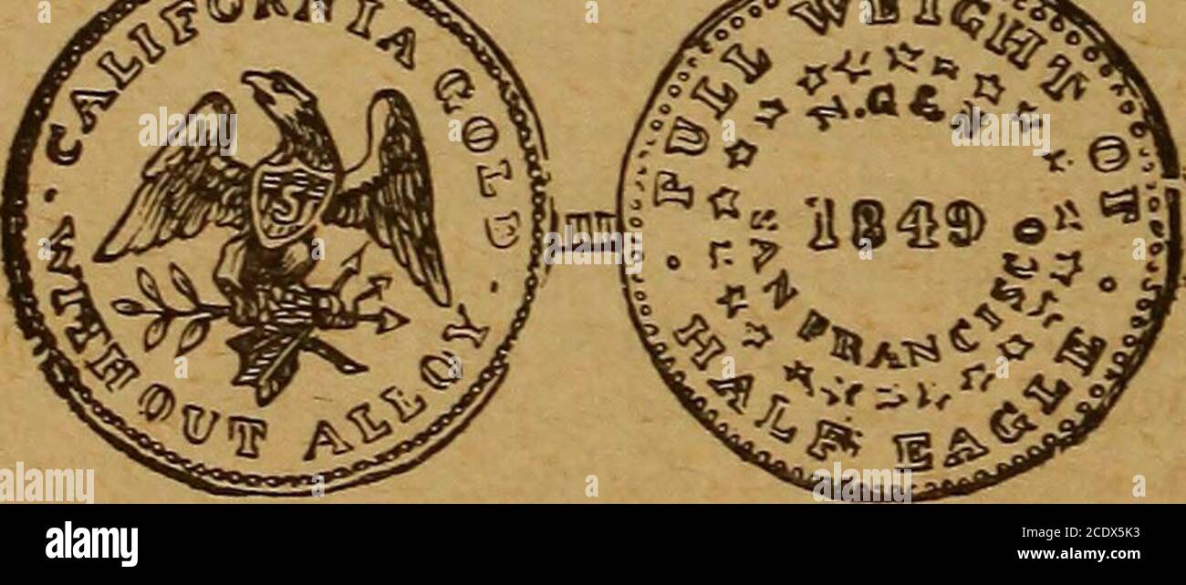 . Le monete rare di America, Inghilterra, Irlanda, Scozia, Francia, Germania, e Spagna ... un elenco completo di e prezzi pagati per le monete rare americane ... monete, moneta frazionaria, moneta coloniale, continentale e confederata carta; Un elenco di tutte le banconote false del Tesoro degli Stati Uniti e delle banche nazionali e delle banconote canadesi, e come rilevarle; il valore di mercato delle monete e delle banconote di tutte le nazioni in denaro degli Stati Uniti; un elenco e prezzi pagati per rare monete inglesi, irlandesi, scozzesi, francesi, tedesche e spagnole. Illustrato con circa 150 tagli . 62 MONETE D'ORO TERRITORIALI. Le parti frazionali di un dollaro erano Foto Stock