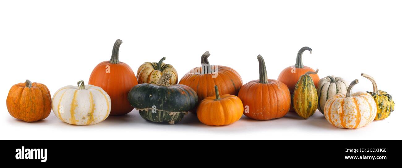 Molte e diverse varietà di zucche isolati su sfondo bianco, Halloween o giorno del Ringraziamento concept Foto Stock