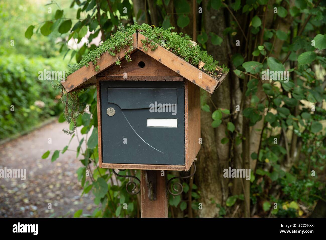 Scatola di lettera coperta di vegetazione Foto Stock
