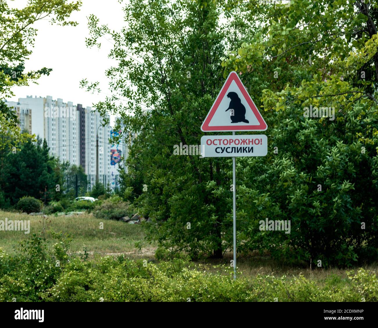 Insolito segnale stradale sullo sfondo di alberi ed edifici. Foto Stock