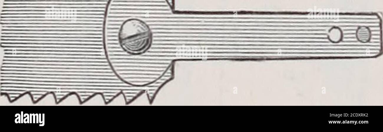 . Il manuale dell'insegnante di Slöjd. Spezzoni di corda forte, che sono intrecciati insieme da atightener, per dare la tensione richiesta alla lama.quando la corda è messa sopra, il telaio è fissato tra i pioli del banco. La barella è fatta di abete o pino; i bracci laterali di legno di artero, per esempio, faggio o quercia. Le diverse parti del telaietto sono realizzate così leggere come compatibili con la resistenza, che ilsega non può essere troppo pesante da gestire con una mano. Modo di ^TL workinp^, la sega dovrebbe tenere il ^ , i n i • ho visto. .^^ afferrato saldamente dal braccio laterale appena sopra l'impugnatura. Nel caso Foto Stock