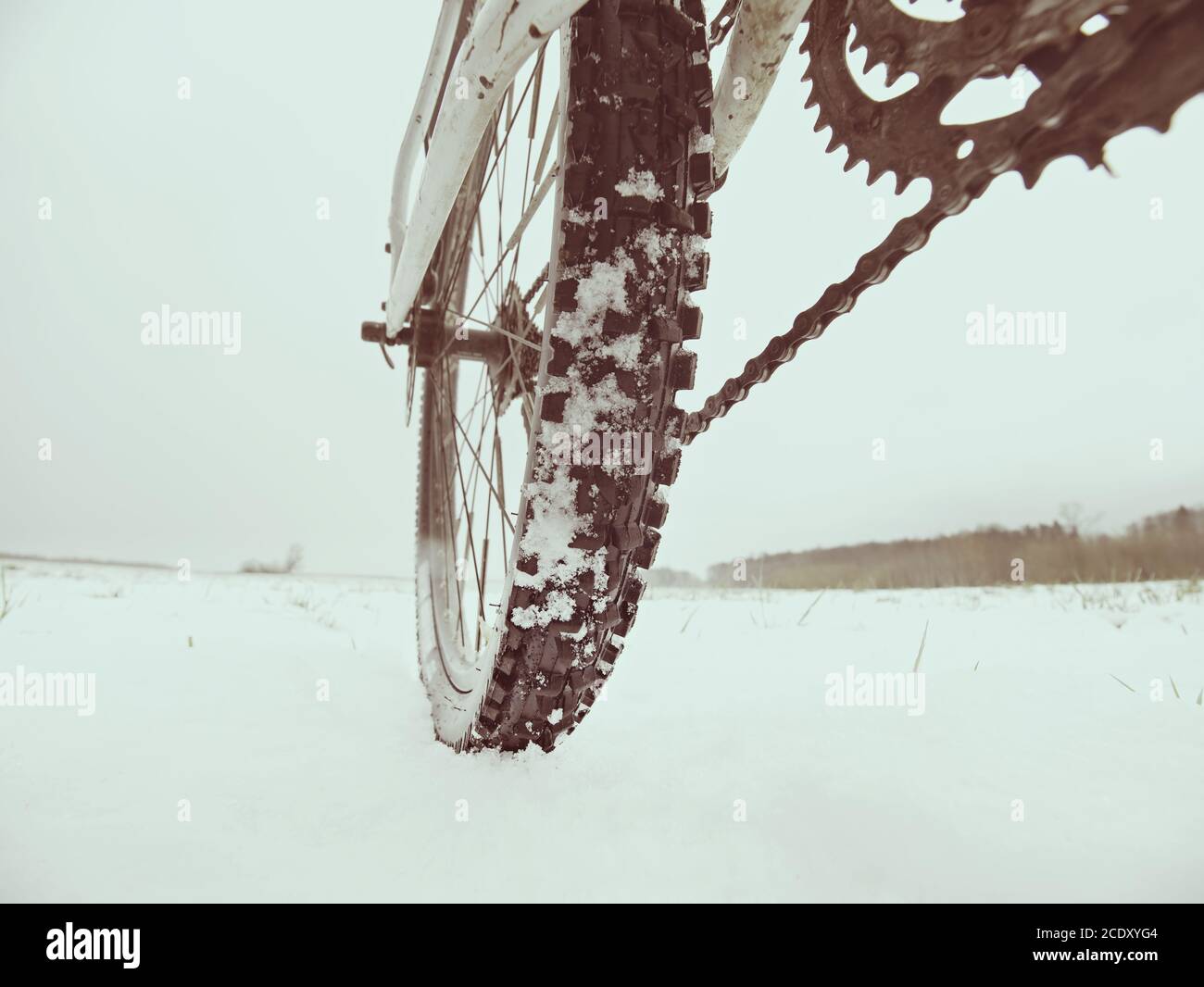 Dettaglio ruota posteriore di mtb. Fiocchi di neve che si fondono su pneumatici scuri fuori strada. Inverno in campo. Foto Stock