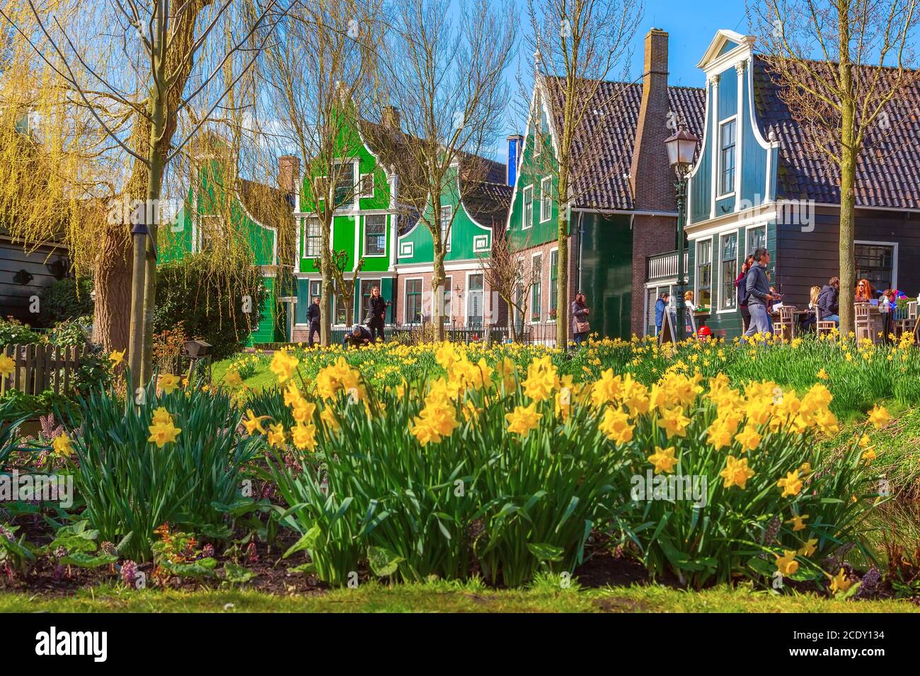 Zaanse Schans, Paesi Bassi, case verdi Foto Stock