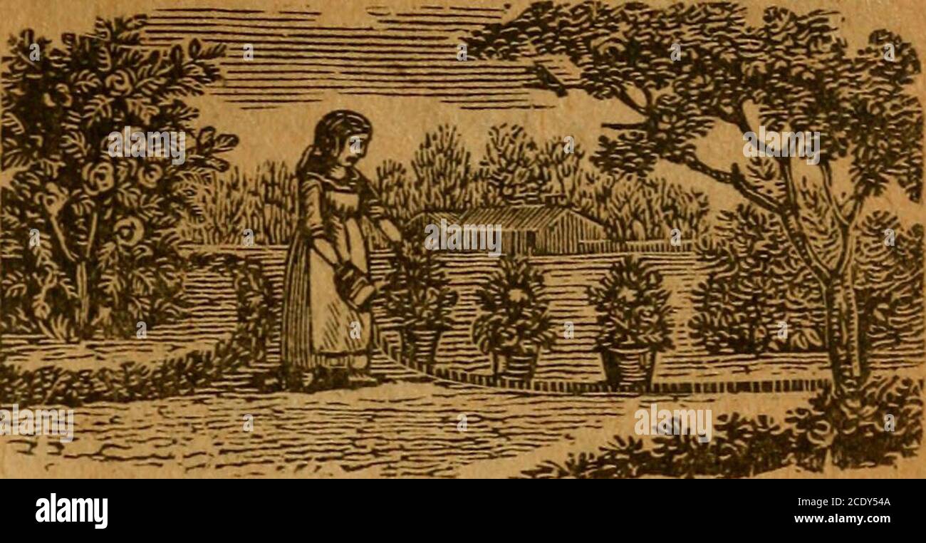 . Turner's North Carolina Almanac : per l'anno di nostro Signore ... . – le Elmer – vorrei essere stato Adamo. L'infermiere: Perché? io piccolo Elmer: Non ha mai dovuto essere un ragazzino e ha una donna che si lava il viso e il collo; ecco perché. Uovo non aveva bisogno di Salt.Jane, ha detto la padrona di casa d'imbarco, passare il signor Newman il sale per il suo uovo. Non importa il sale, grazie, si è ri-unita l'ultima acquisizione alla piega, questo uovo non è troppo fresco come è. La crema del piacere. Insegnante: UNA crema, Tommy, viene eseguita l'esclamazione del dolore. Come si può dire che sia un'esclamazione di piacere? Tommy^: Stavo alludendo a de scream agirl dà quando un ma Foto Stock
