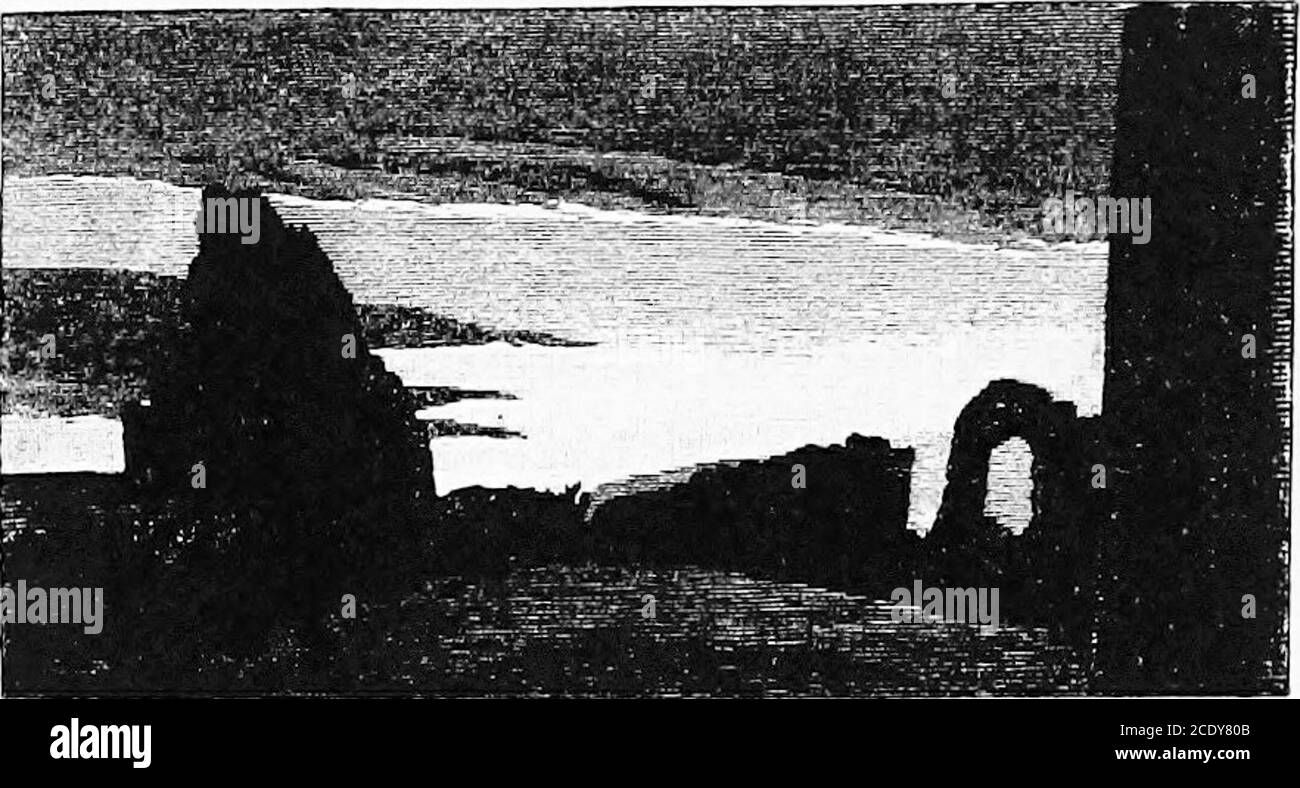 . Le opere di John Ruskin . Hechinge, dico, di quella vibrazione cieca nella gloria del Sole e di Moonfor gli occhi umani: Rendendo così possibile la comunicazione dalla verità insondabile di quella porzione di verità che è buona per noi, che ci anima, e che è destinata a dominare nel giorno e nella notte della nostra gioia e del nostro dolore. [Salmi xciv. 9.] ^ [Minos, 314 A: Cfr. Vol. XX. Pag. 223, e comparare il Vol. XXII. Pag. 194.1 » [Vol XXII. Pag. 194.] * 28 LA TEMPESTA-NUVOLA 25. Tornando ora al nostro argomento al punto da cui mi sono permesso, non confido senza la vostra scusa, di divergere; si può incidenti Foto Stock