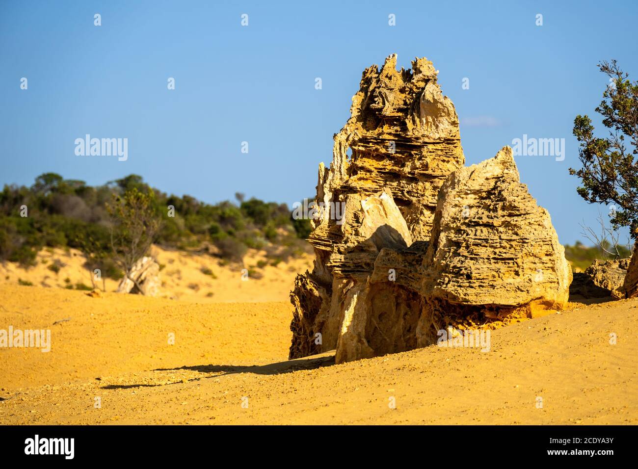 Deserto dei pinnacoli nell'Australia occidentale Foto Stock