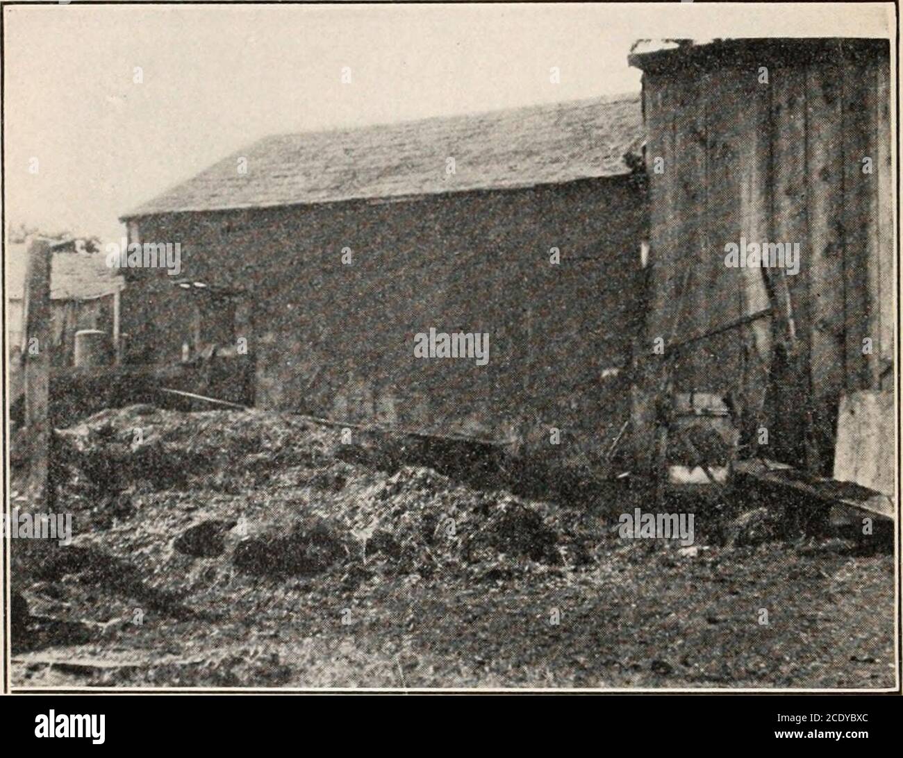 . Il mensile della scienza popolare . Concime di cavallo accatastato nei Suburbs, in una condizione adatta per allevare molte mosche. 12 R, I. Smith, Bollettino stampa n. 23. North Carolina Agricultural Experi-ment Station. 44 IL MENSILE DI SCIENZA POPOLARE ha ucciso oltre 40,000 mosche (circa quattro quarti) all'interno di ventiquattro ore in un fienile dove le mosche erano molto numerose. Altre bugie che trasportano le malattie il flagello terribile dell'Africa conosciuto come la malattia di sonno è causedda un parassita protozoo conosciuto come Trypanosoma gambiense, e istransmitted dal morso di una specie di mosca, Glossina palpalis. In stat sud ourown Foto Stock