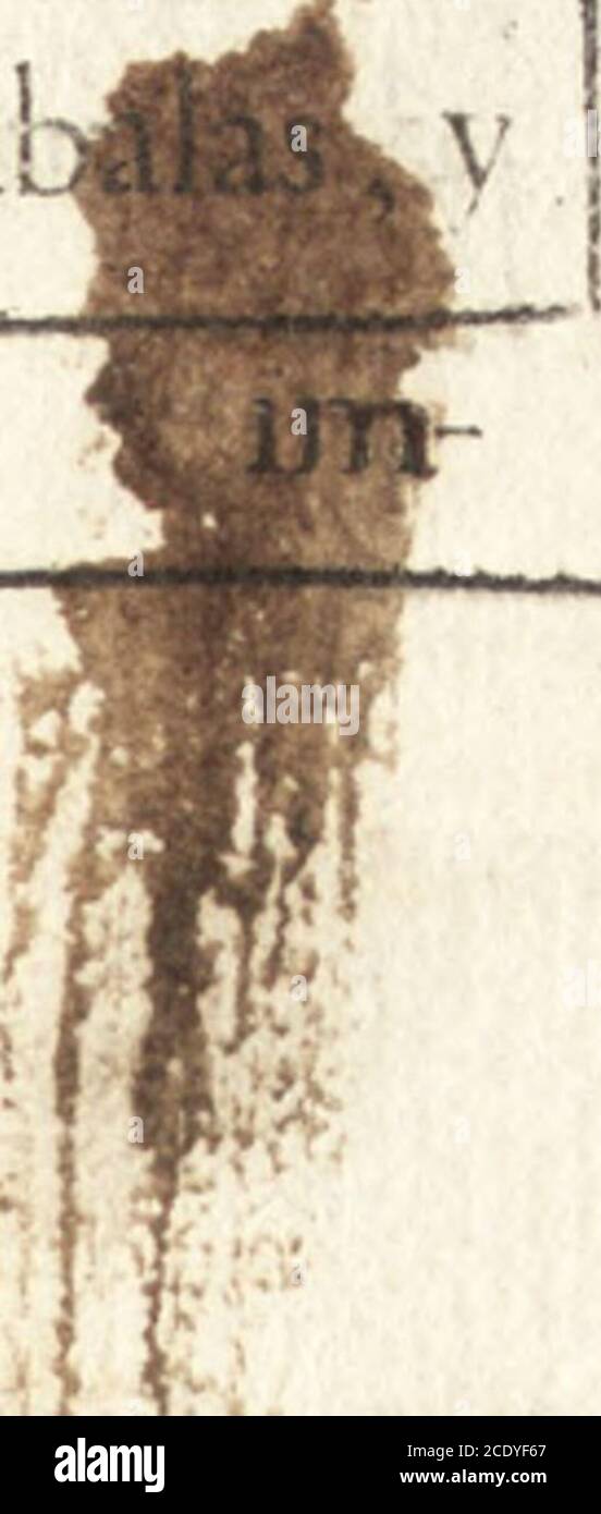 . Llano del occidente en el ocaso del mas claro sol de las Españas : funebres demostraciones, que hizo, pyra real, que erigio en las exequias del rey N. Señor D. Felipe IIII. el Grande ... . iene en el triío, ódiente de la cornija efia inícnpcion: Phi li p p vsHispa ni arvm, et Incarvm Rex,Anno1564. Sóbrela cornijaaíTienta vn valcon voladode hierro con barahuftes torneados, y ibbre la ven •tana vn eícudode las Armas Reales de Cartilla, yLeón, primomiamente talladas en vna piedra.Tiene efie patio cinquenta varas en quadro, y enfu centro vna fuente ochavada, con fu taca, pilq de, pily Foto Stock