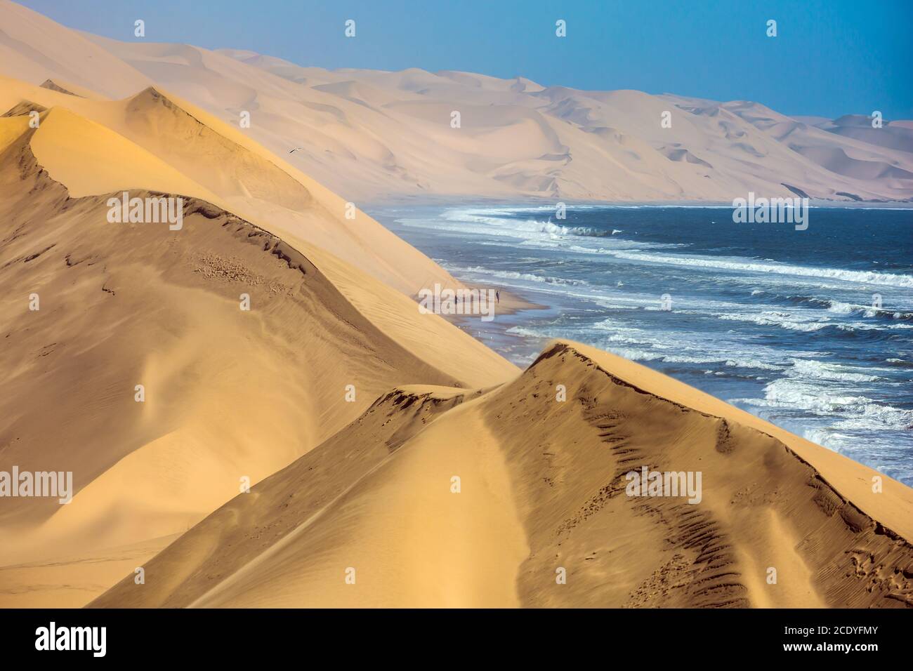 Dune di sabbia dell'Atlantico enormi Foto Stock