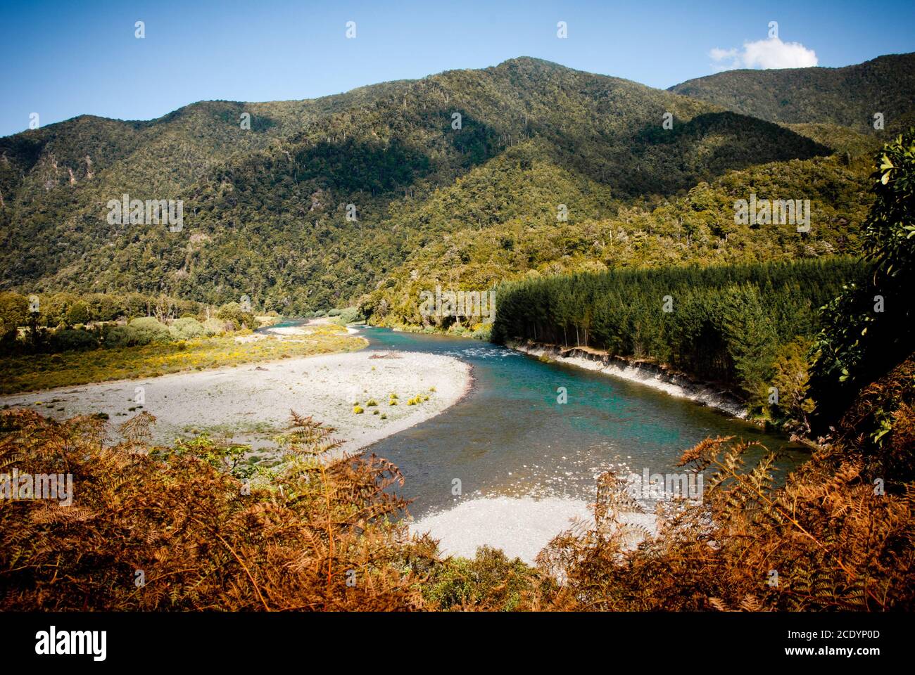 Paesaggio con il fiume durante il giro a Christchuch Foto Stock