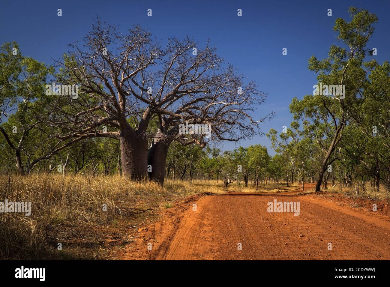 Outback Track al Kimberleys - Australia Occidentale Foto Stock