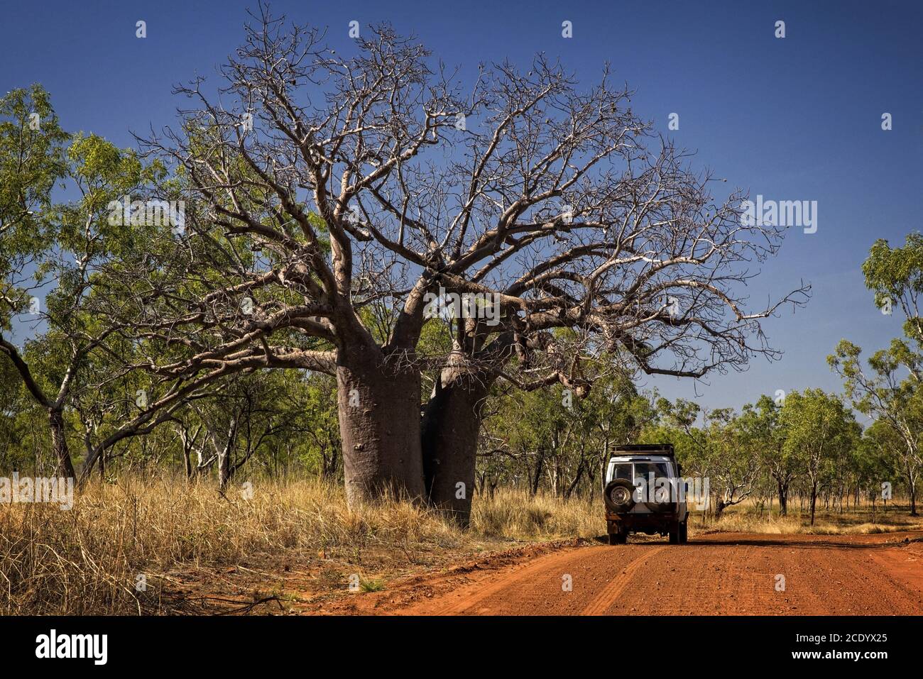 Outback Track al Kimberleys - Australia Occidentale Foto Stock
