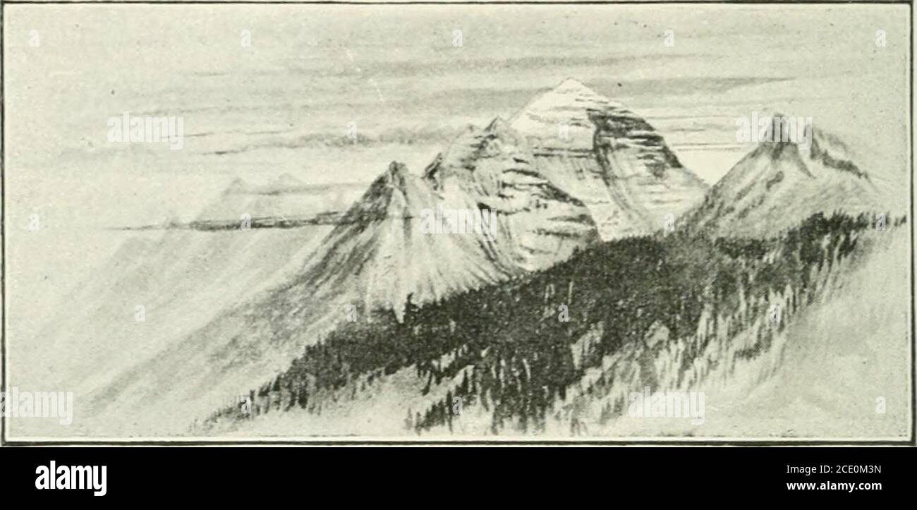 . Coste e Alpi dell'Alaska . Industry.IT è ma alcuni anni da quando questa regione è stata alivewith il bufalo nelle mandrie di migliaia; theprice offerto per le loro pelli è stata la causa del loro sterminio da parte di cacciatori indiani e bianchi. Ho soggiornato per alcuni giorni a Calgary, il capoluogo di Alberta, mentre L. e F. hanno guidato verso sud fino a FortMacleod. Calgary e Fort Macleod sono i centri principali dei grandi ranch di bestiame e dell'industria dell'uva passa del Canada. Le vaste riserve indiane che il governo deve fornire con carne bovina (sul posto del bufalo, ora non più esistente), formano un buon mercato locale. T Foto Stock
