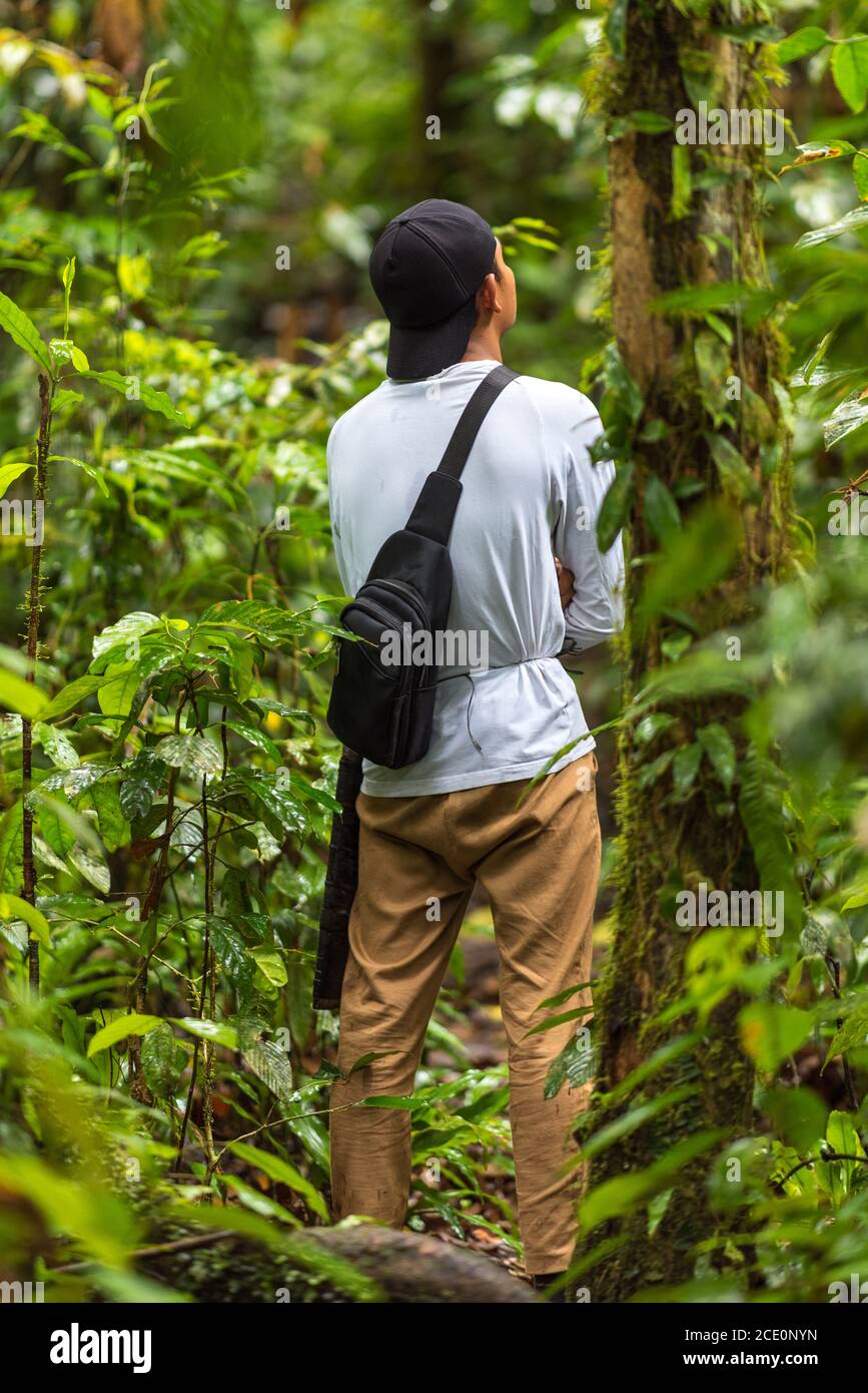Alla ricerca di orangutani nella giungla di Ketambe su Sumatra Foto Stock