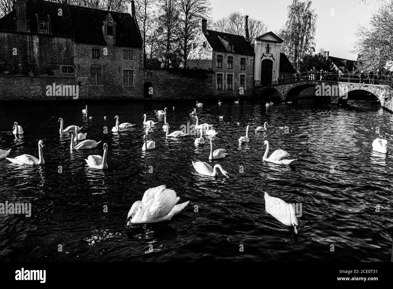 fotografia di brugge a bruxelles di alta qualità Foto Stock