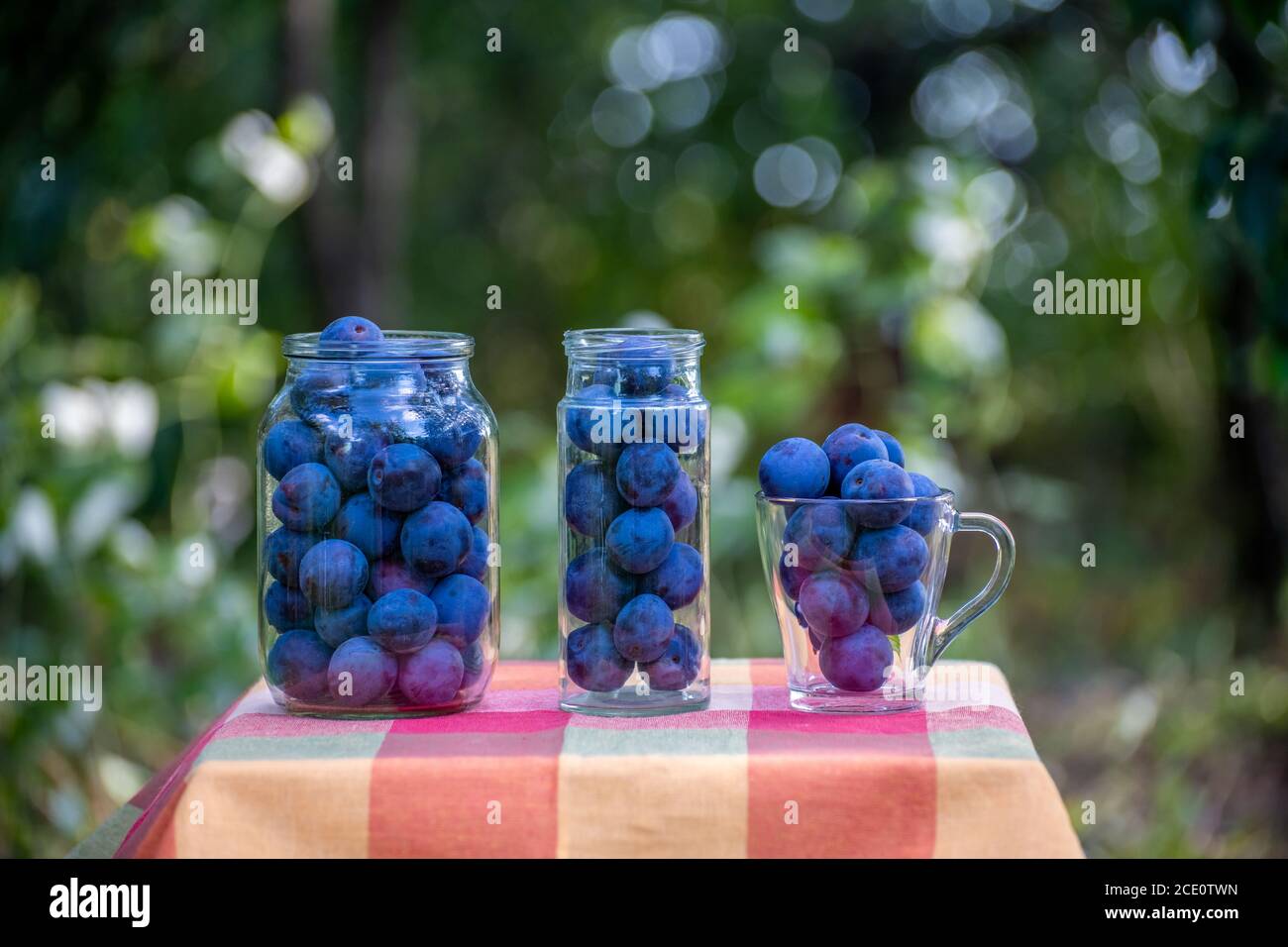 Prugne fresche in vasetti preparati per inscatolamento Foto Stock