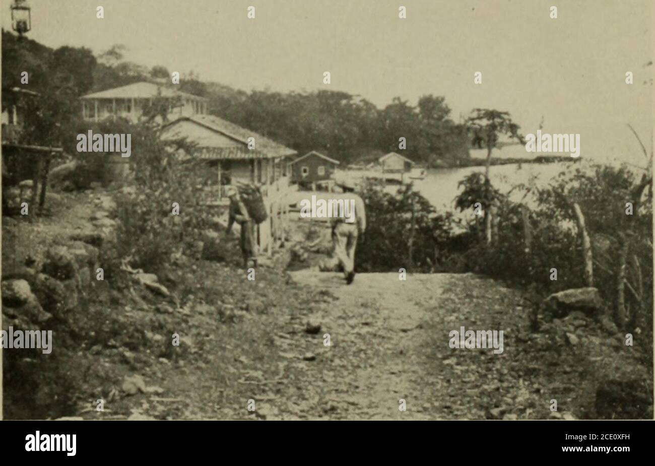 Il richiamo delle lettere occidentali dalla British Columbia . (.HIKUI I  SAS FRANCESCO, I. UN L L.. IG ISLAND • LUNGO LA COSTA DI PANAMA 309  l'igiene di questi due luoghi