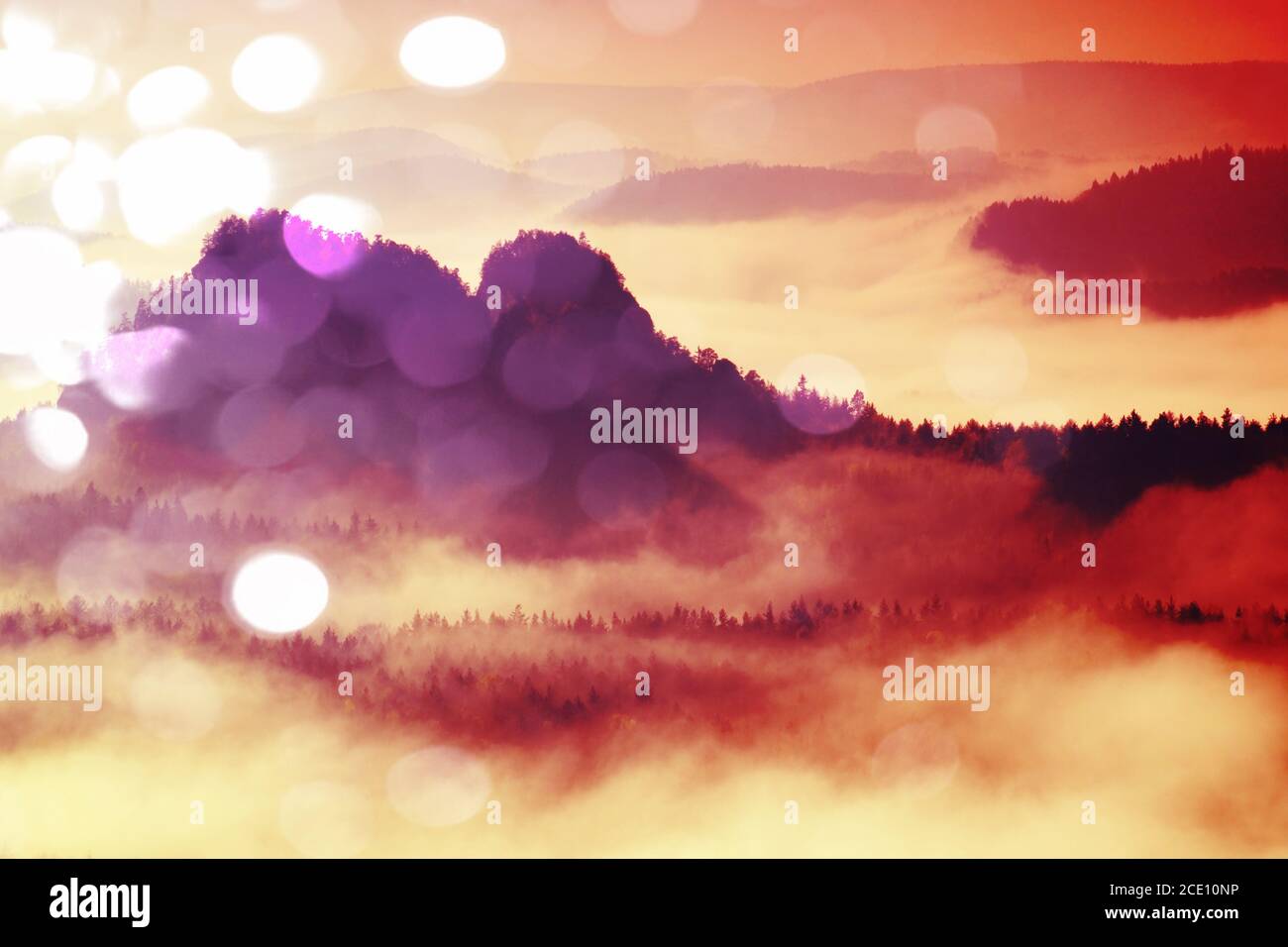 Film effect.Pink daybreak in terrieri collinari. Autunno mattina nebbiosa in una bella collina. Picchi di alberi Foto Stock