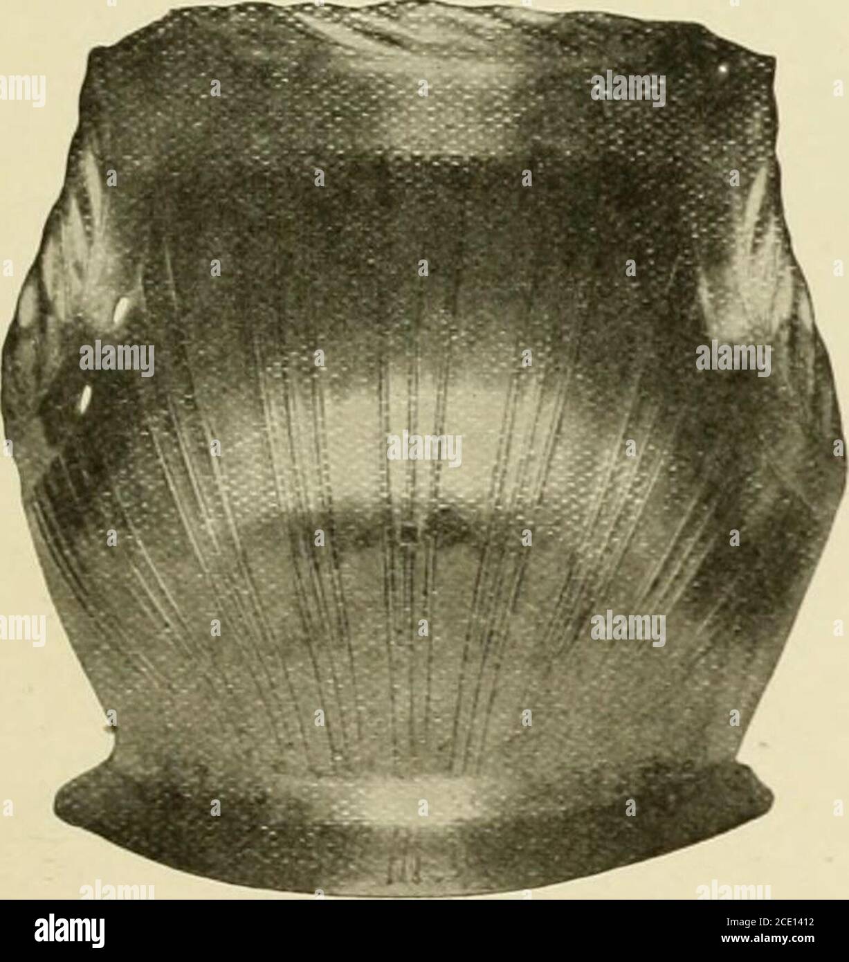 Inventario e rilevazione delle armourie della Torre di Londra (vedi n. 51).  78. Pettorina globosa (inizio XVI secolo), con fazzoletti da piastra. 79.  Pettorale globoso (inizio XVIthCentury), con fazzoletti da piastra