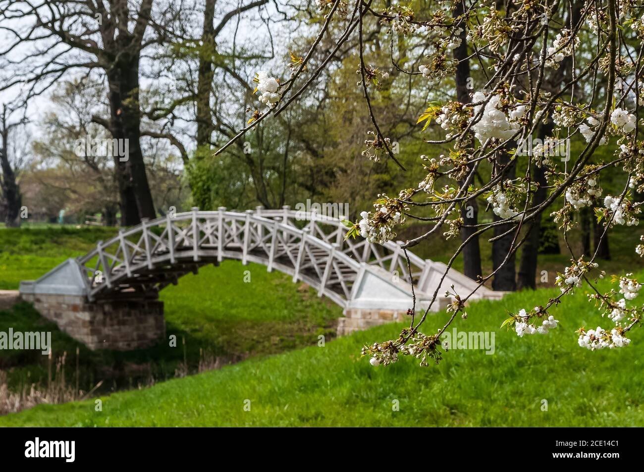 parco Luisium con brigde bianco Foto Stock
