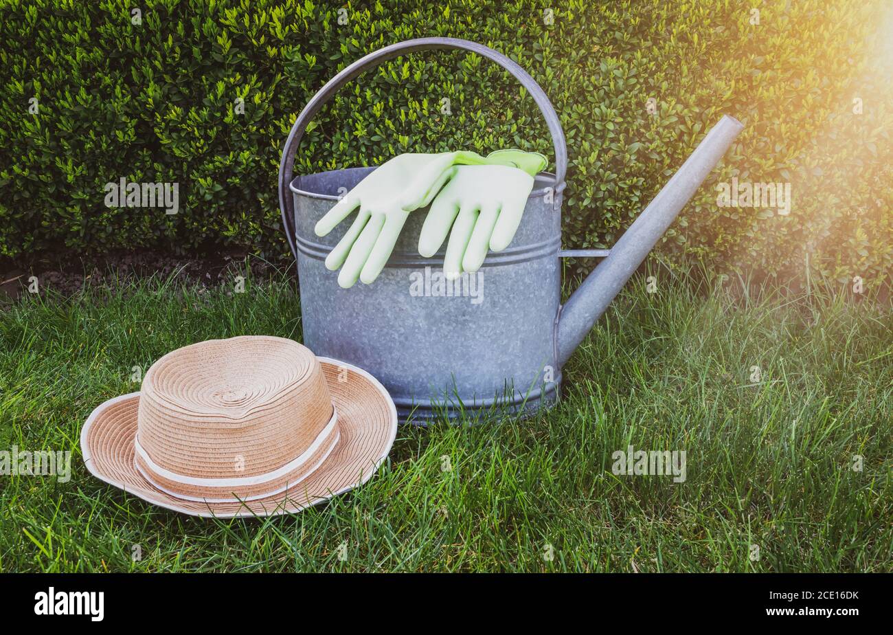 Annaffiatoio, guanti da giardino e cappello estivo su erba verde Foto Stock