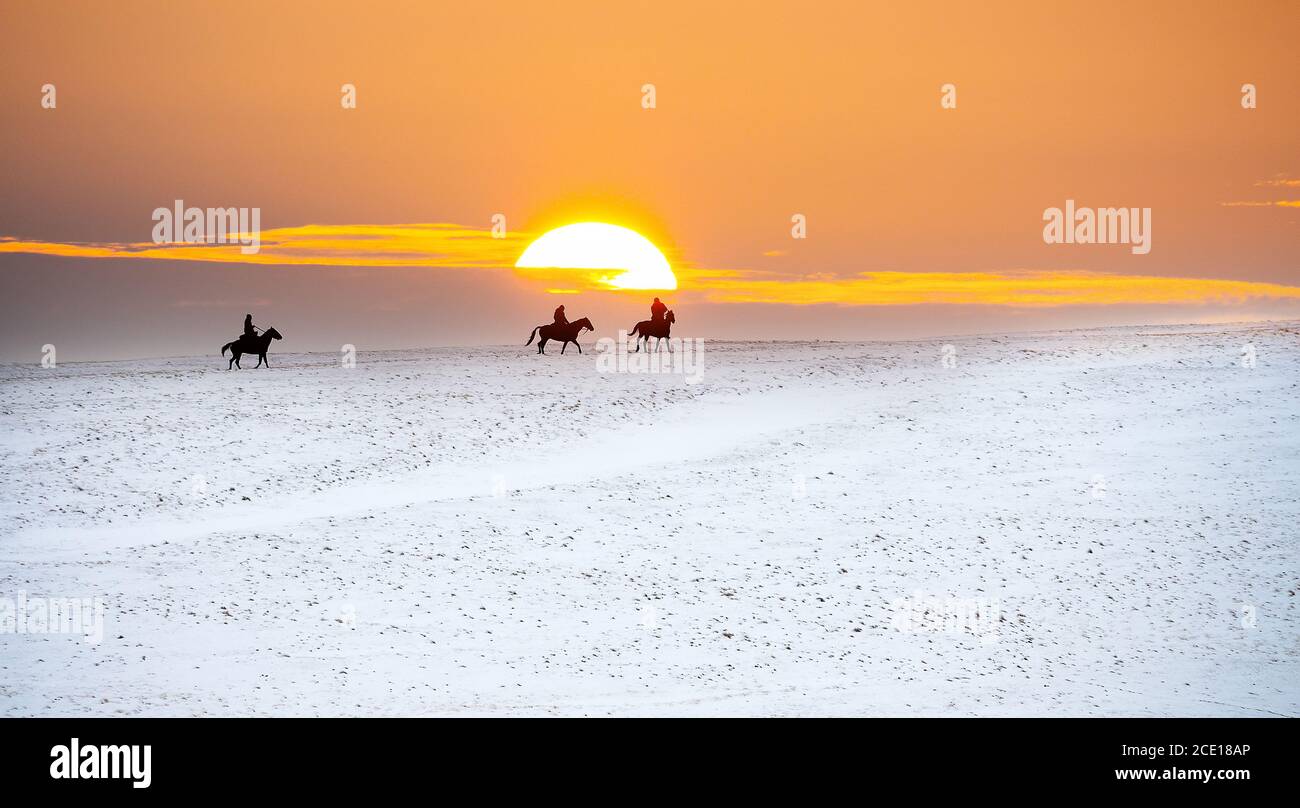 Passeggiata a cavallo. Foto Stock