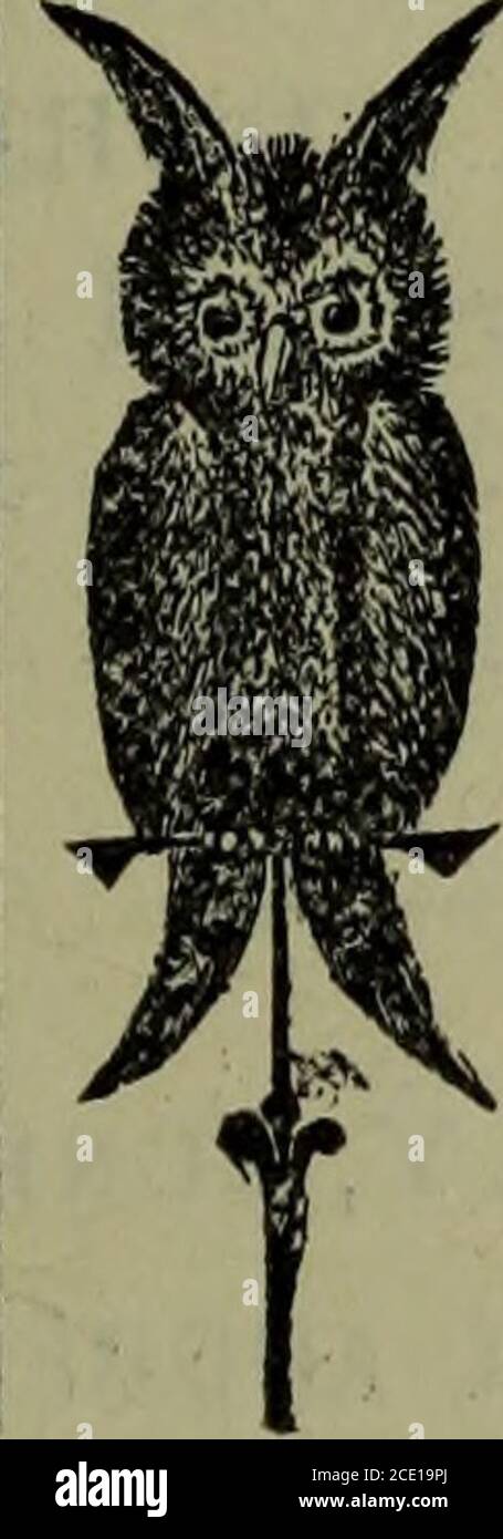 . Catalogo annuale del Collegio agricolo e meccanico del Mississippi . rdeenExaminer, Pascagoula Democratic-Star, Yazoo City Herald, CoastBeacon, Summfl Sentinel, Corinth Herald, Southern Herald, 3 «-ffl- -A* A. & M. COLLEGE OF MISSISSIPPI. 51 Lexington Advertiser, Winston Signal, Southern Live-StockJournal, Clay County leader, New South, Free South, Vicks-burg Evening Post, Greenwood Enterprise, Delta Flag, Vieks-burg Herald, Southern Stockman and Farmer, The AllianceHerald, The Southern, Holly Springs Reporter, Columbus Index. Da senza Stato vengono inviati i seguenti documenti al Foto Stock