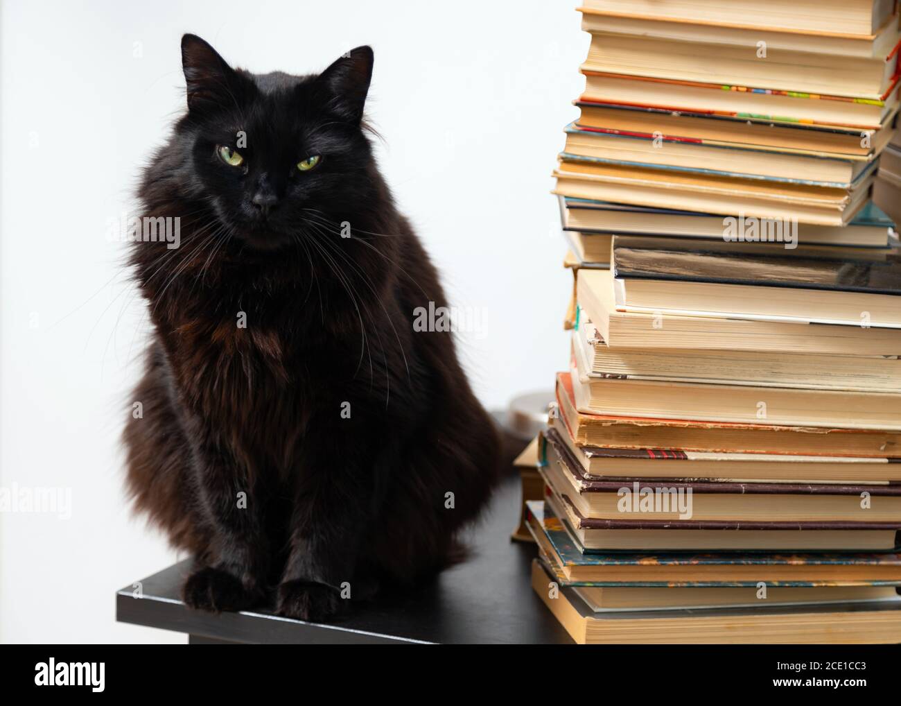 Gatto nero seduto sul tavolo accanto a una pila di libri d'epoca Foto Stock