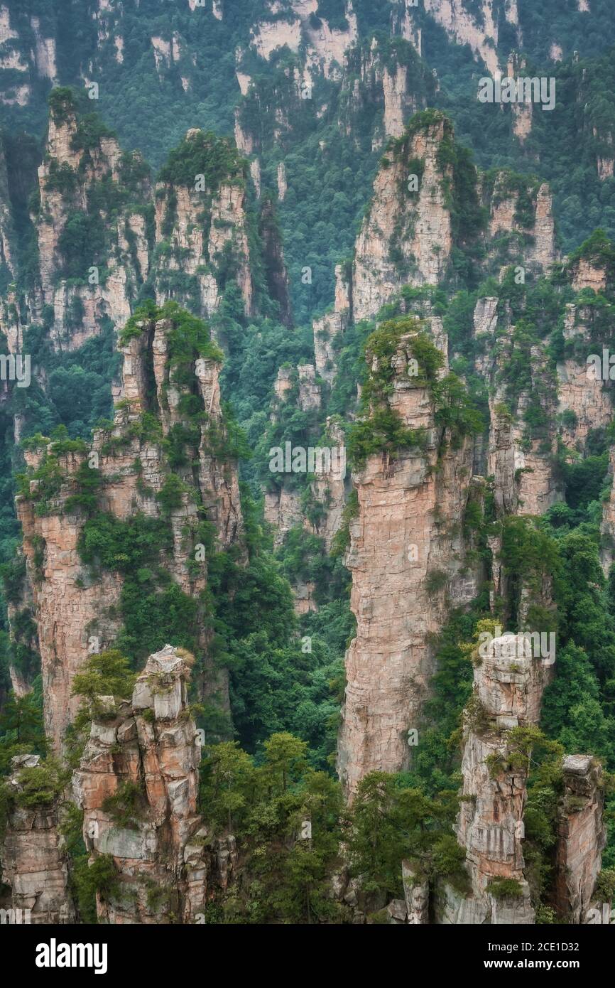 Paesaggio di pietra Tianzi colonne di montagna in Zhangjiajie Foto Stock